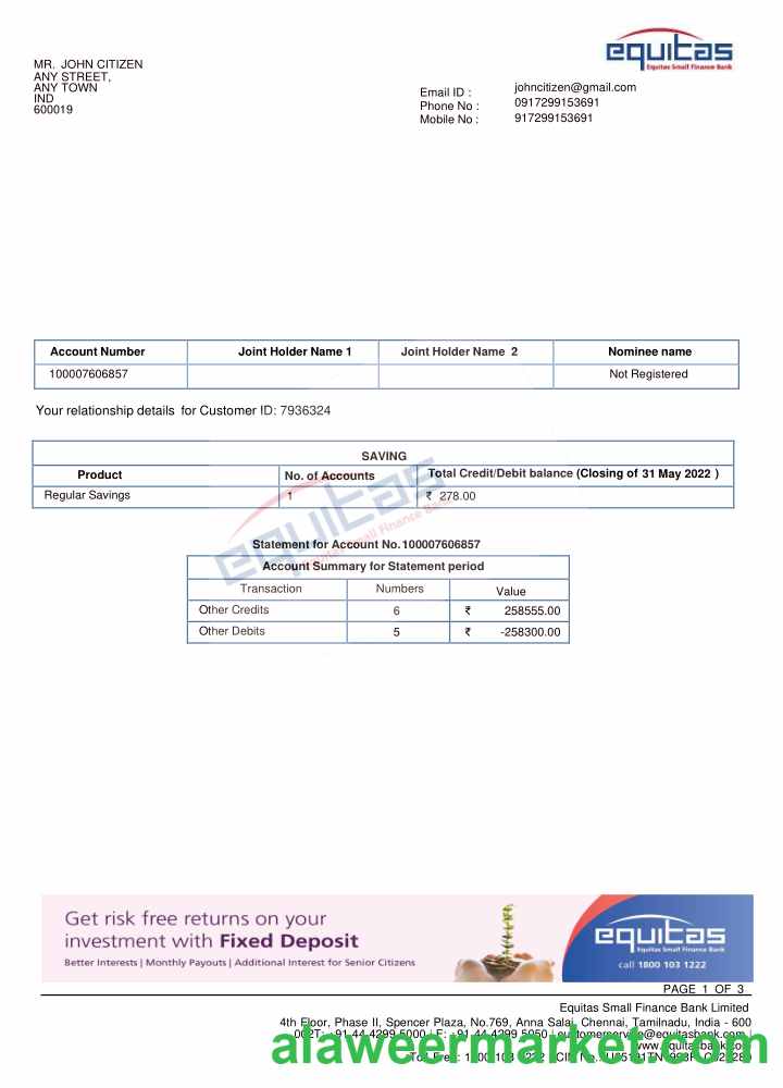 INDIA EQUITAS bank statement template, Word and PDF format